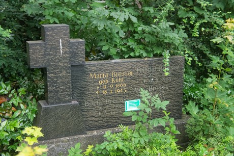 Mechernich