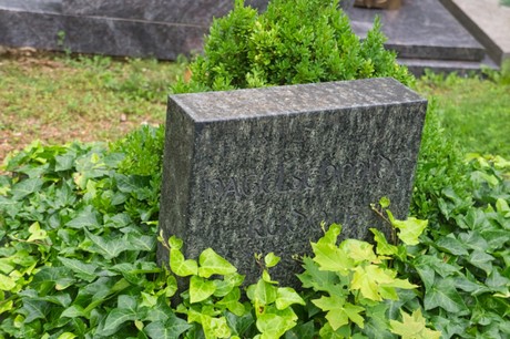 Mechernich