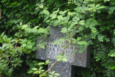 Mechernich