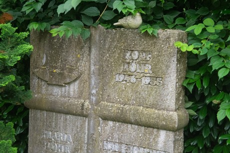 Mechernich