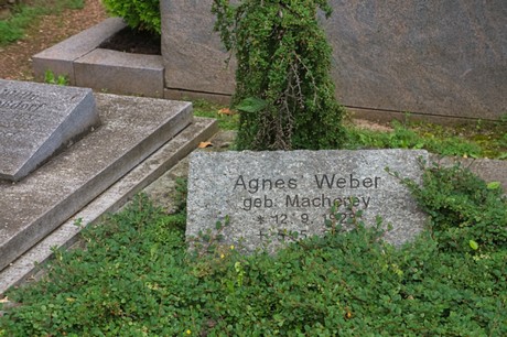 Mechernich