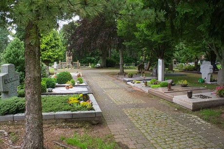 Mechernich