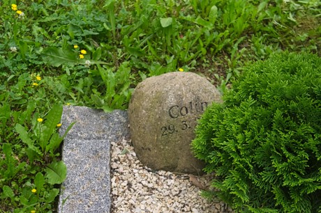Mechernich