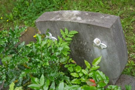 Mechernich