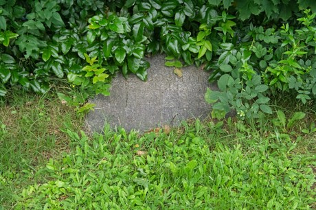 Mechernich