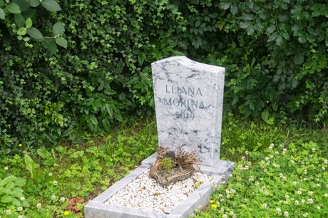 Mechernich