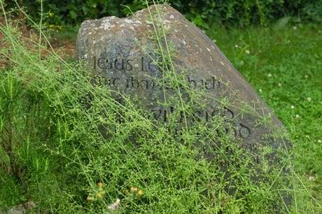 Mechernich