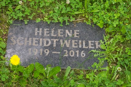 Mechernich