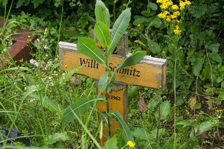 Mechernich