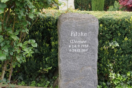 Mehlem