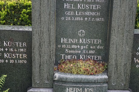 Mehlem