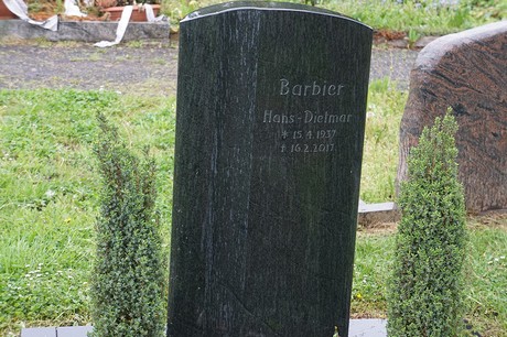 Mehlem