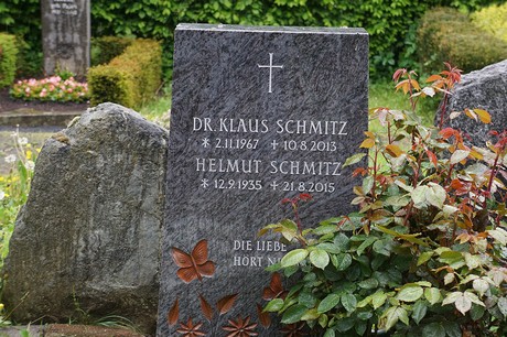 Mehlem