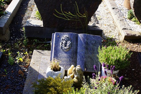 Metternich