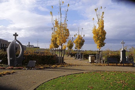 Morschenich