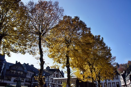 monschau