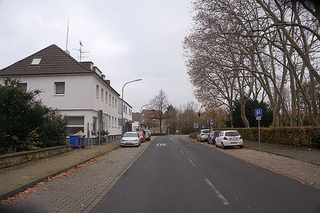 Niederau