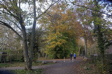Niederau