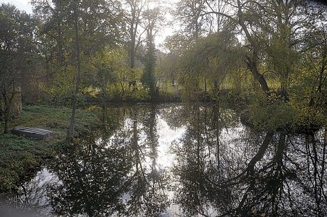 Niederau