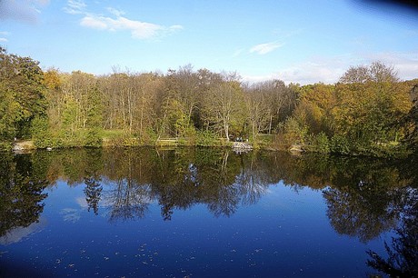 Niederau
