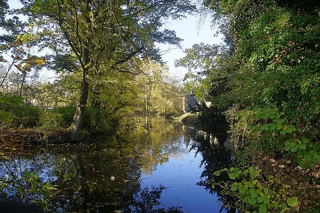 Niederau