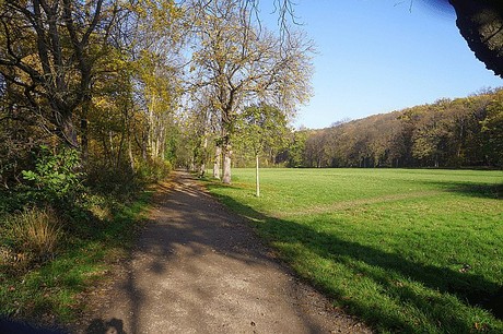 Niederau