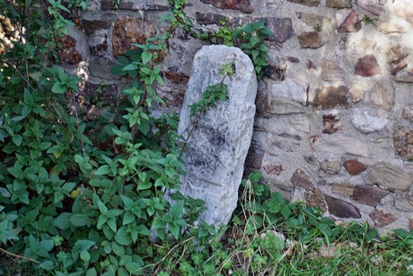 Oberdrees