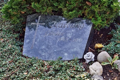 Oberdrees