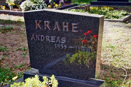 Oberdrees
