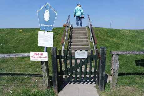 oben-in-nordstrand