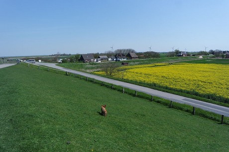 oben-in-nordstrand