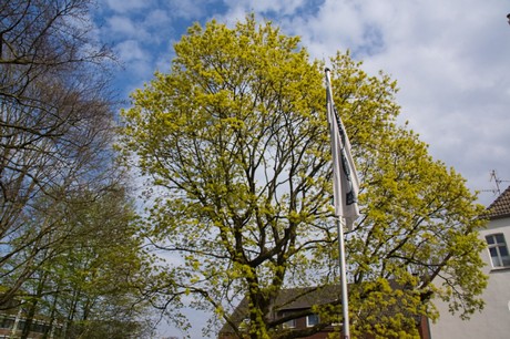 Recklinghausen