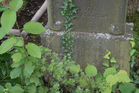 Roggendorf