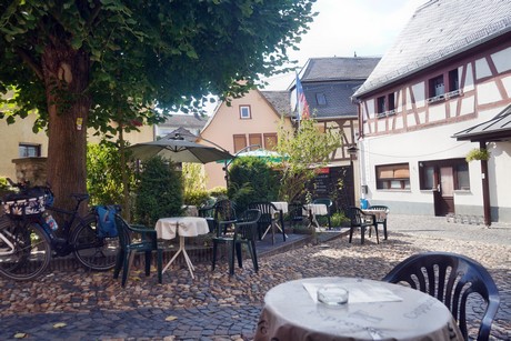 Runkel