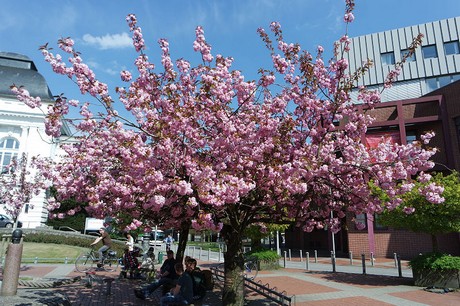 Rendsburg