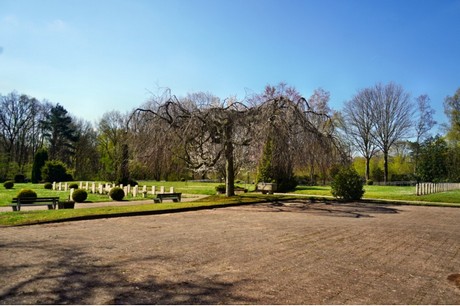 Rheindahlen