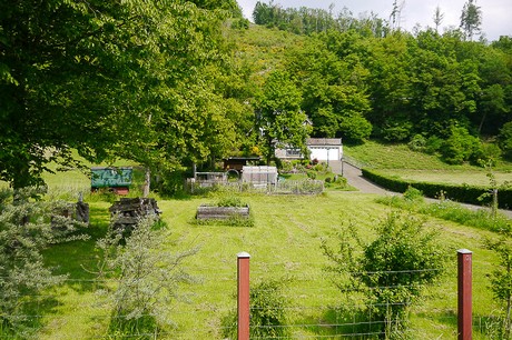 Simonskall