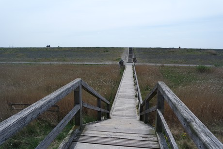 st-peter-ording