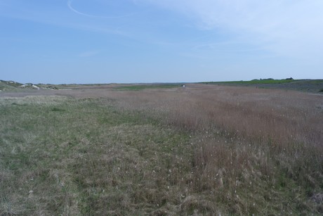 st-peter-ording