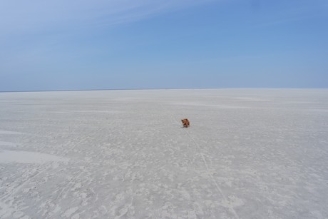 st-peter-ording