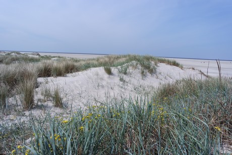 st-peter-ording