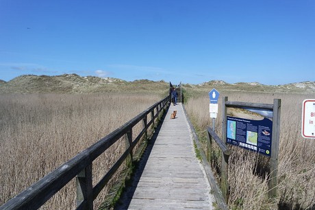 st-peter-ording
