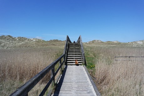 st-peter-ording