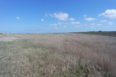 st-peter-ording