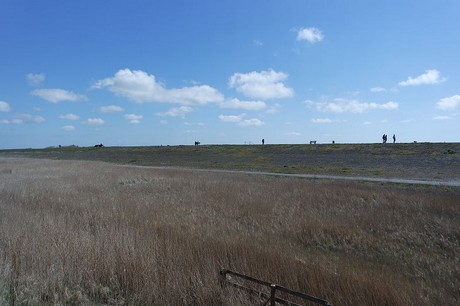 st-peter-ording