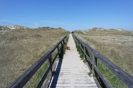 st-peter-ording