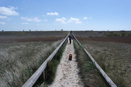st-peter-ording