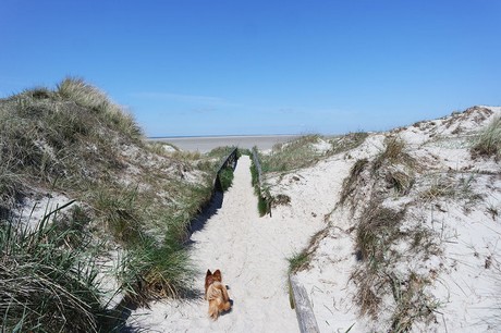 st-peter-ording