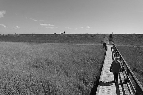 st-peter-ording