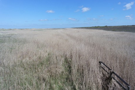 st-peter-ording